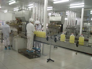 秦皇島金海糧油 以匠心工藝守護(hù)餐桌安全